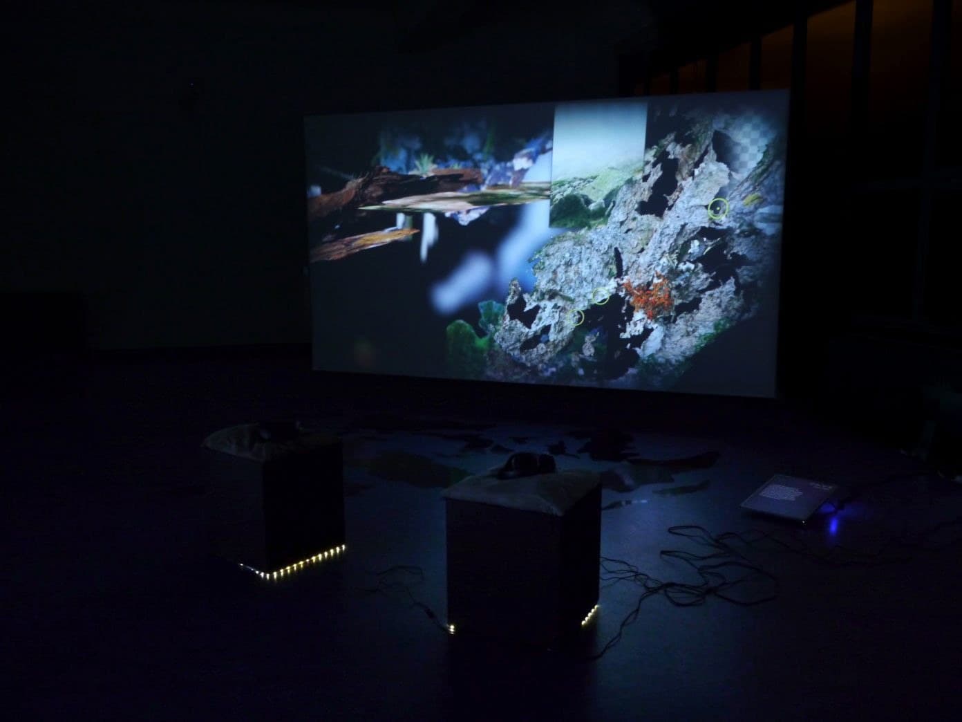 0°N, 0°E installed: a projection above two plinths in a dark room